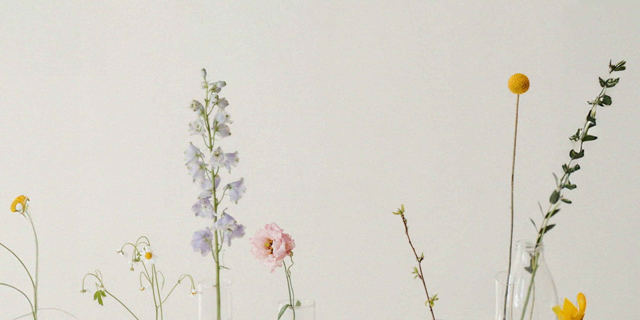 Petal Palette: Spring Style Picks