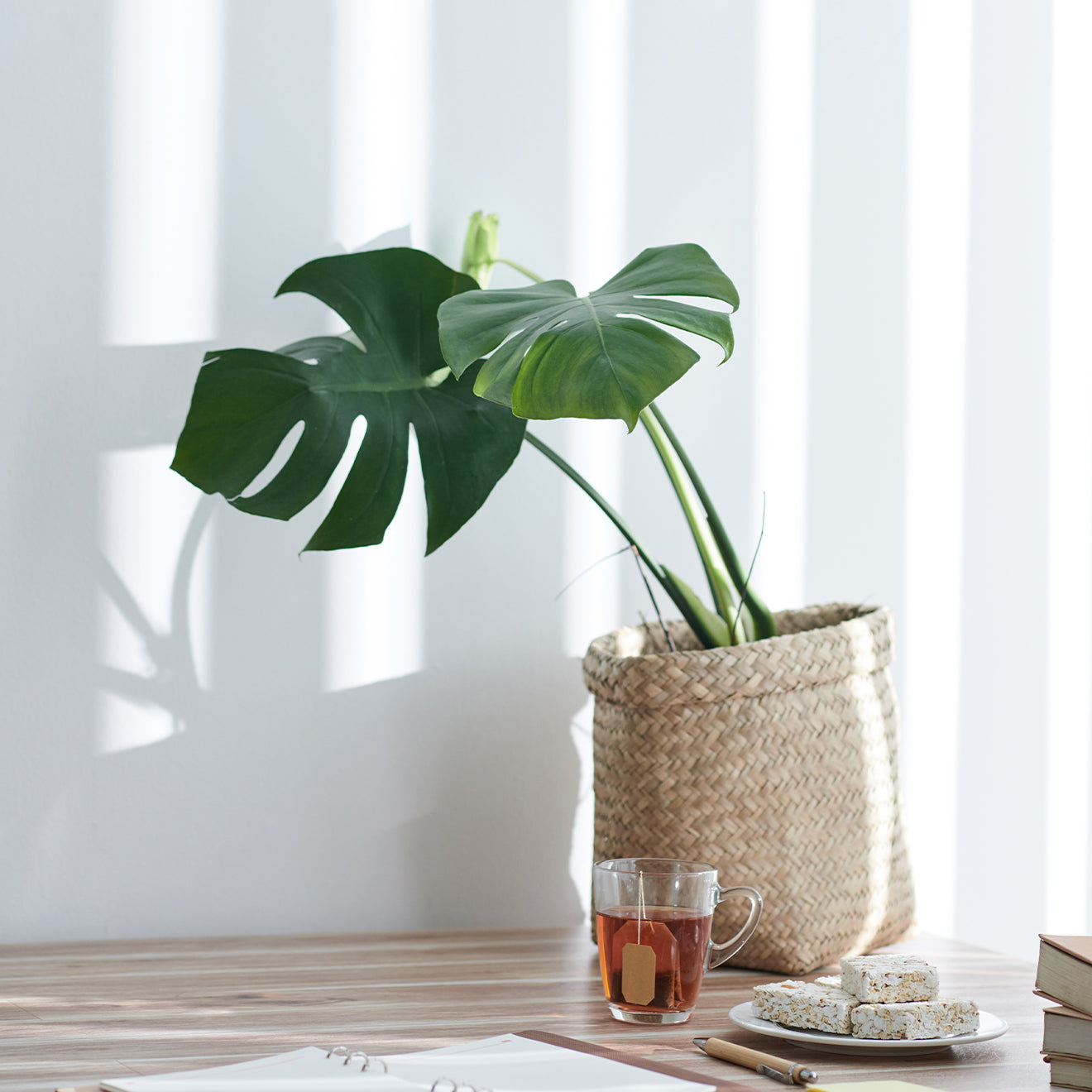 Eco-Essentials
