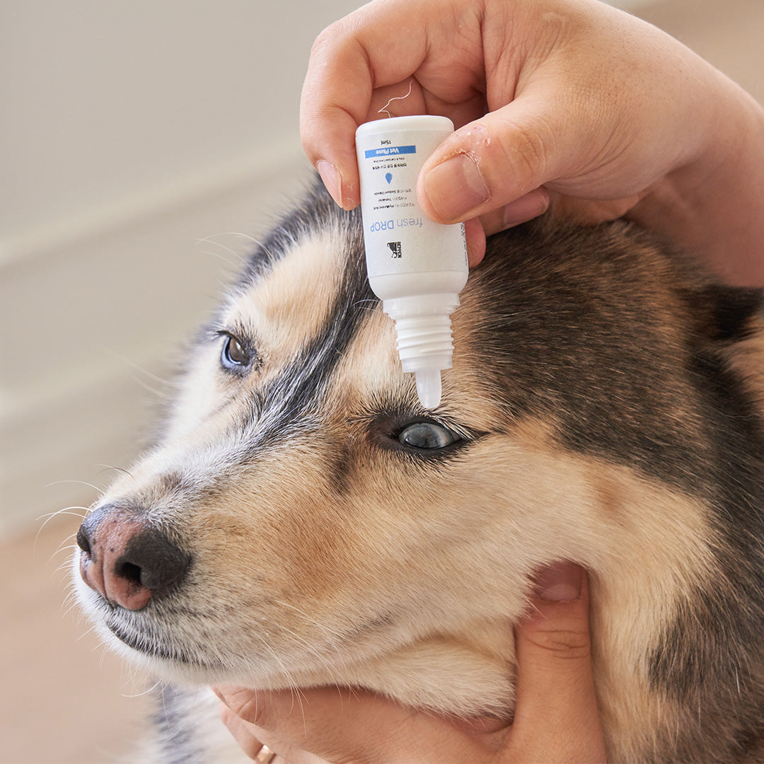 Beppen Pet Mist All-in-one Silky Essence