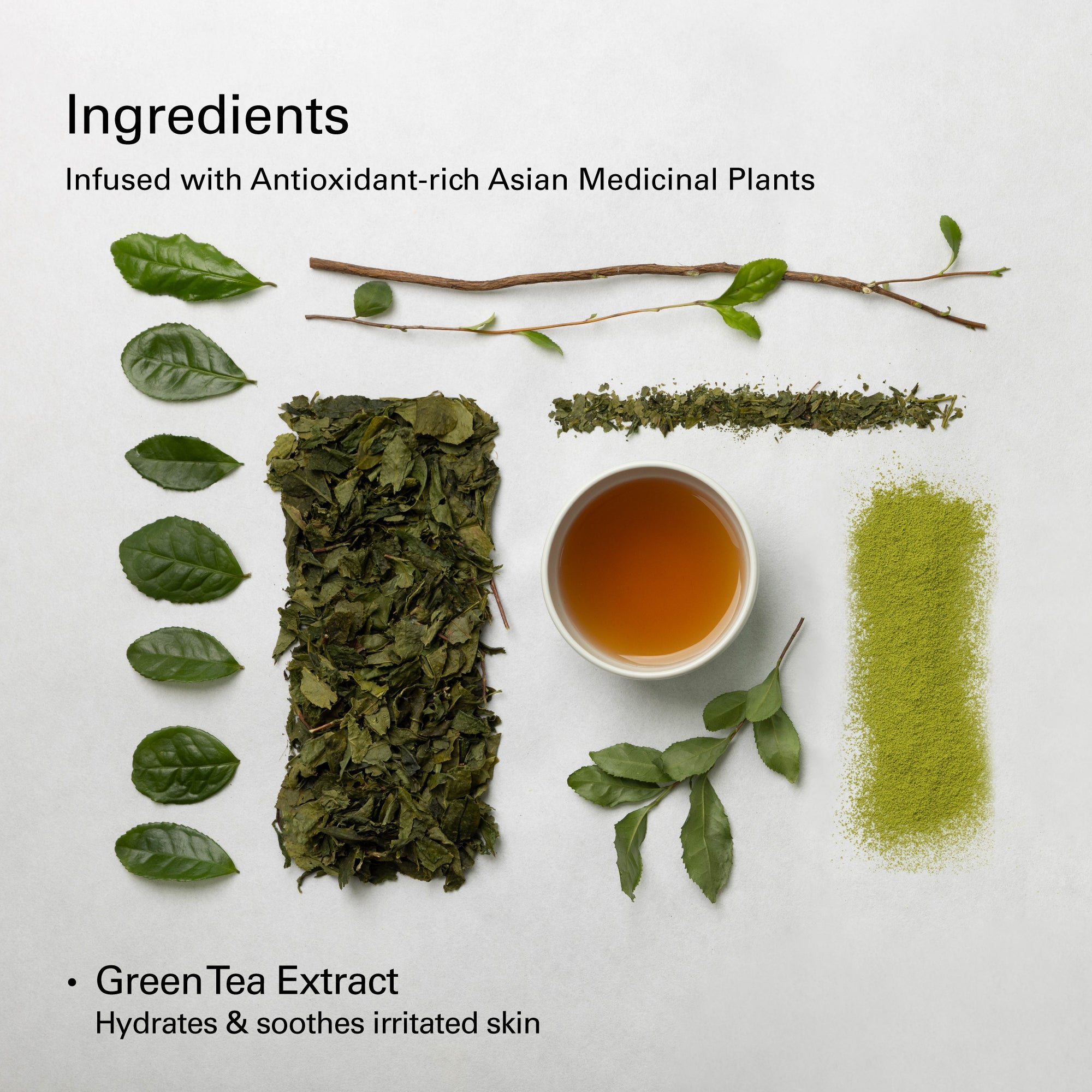 Vegan Balancing Toner (9.8 fl.oz.)