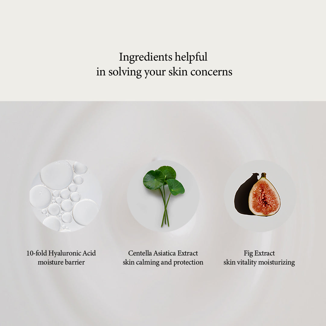 efilow Artichoke biome calming ampoule - Slowrecipe