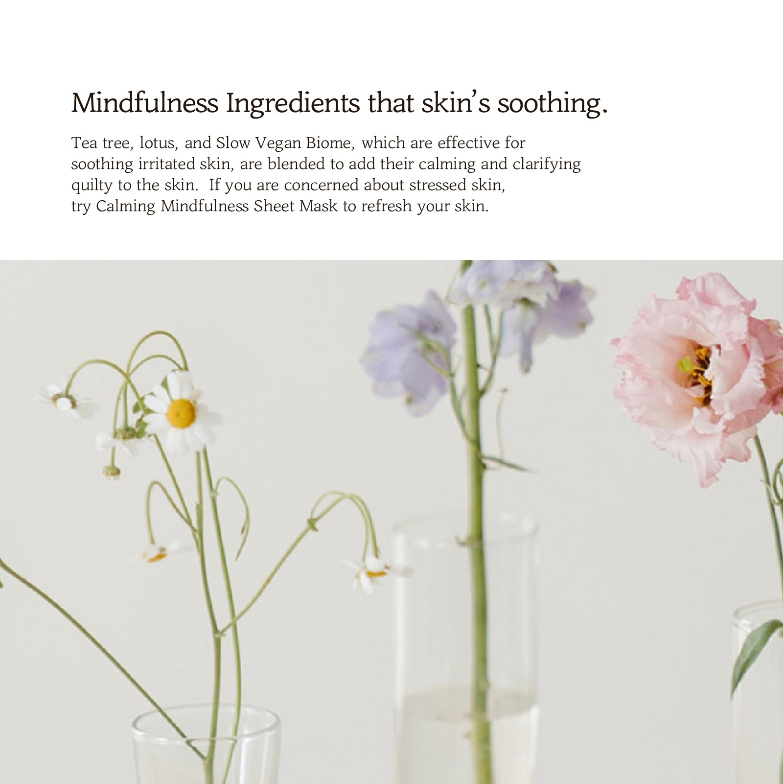 efilow Hydrating Teaism Sheet Mask - Slowrecipe