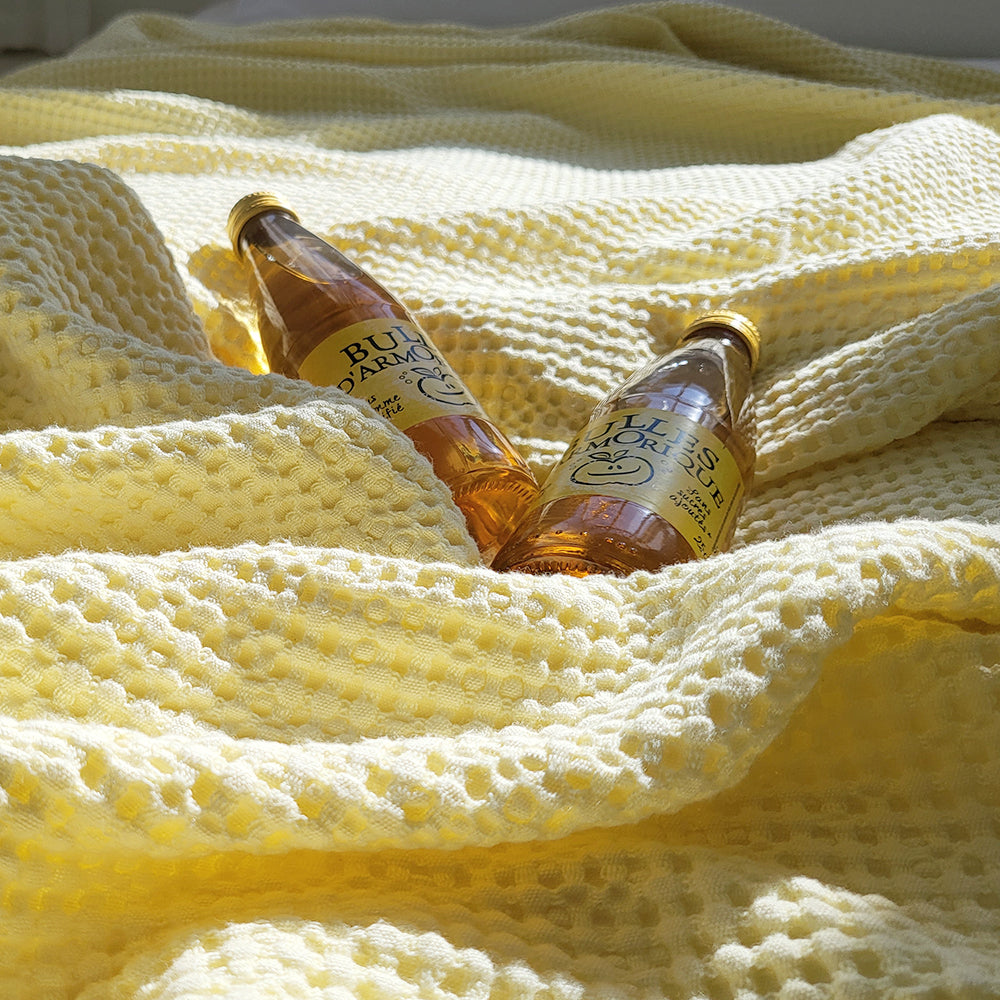 Waffle Modal Blanket (4colors)