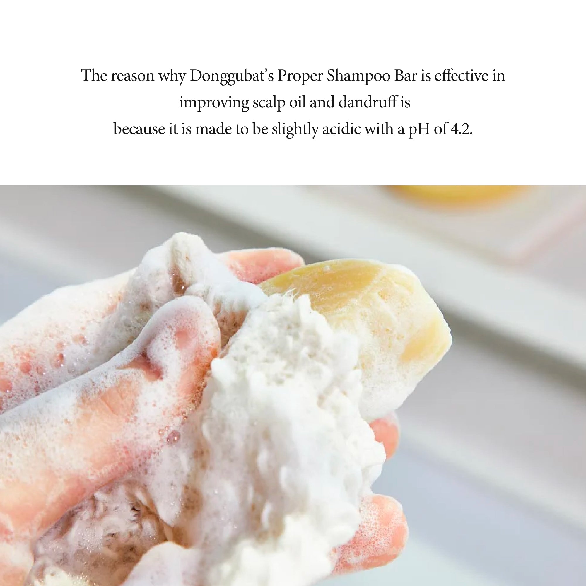 Donggubat The RIGHT Shampoo Bar for Oily Scalp - Slowrecipe