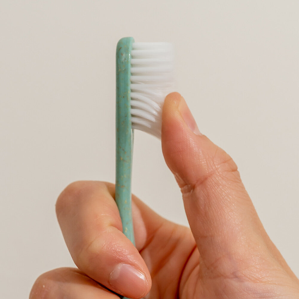 SODOWE. Woodchip Toothbrush Set - Slowrecipe