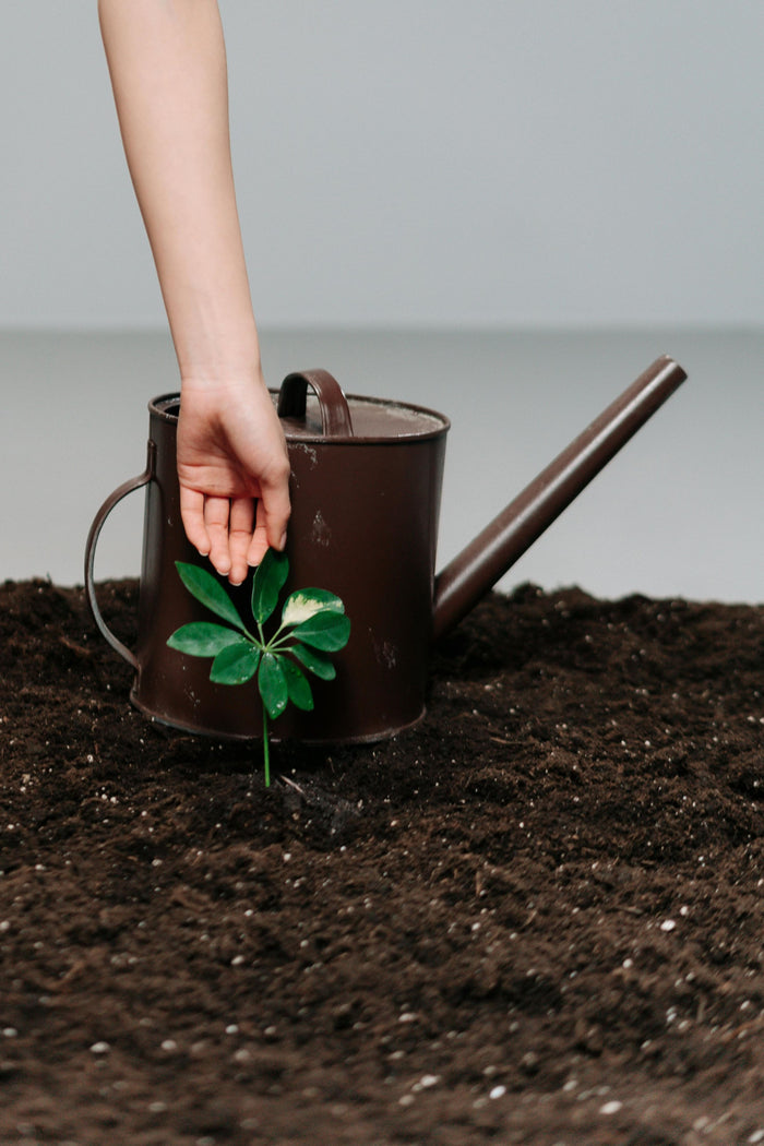 SlowRecipe's Blog is Now Open.