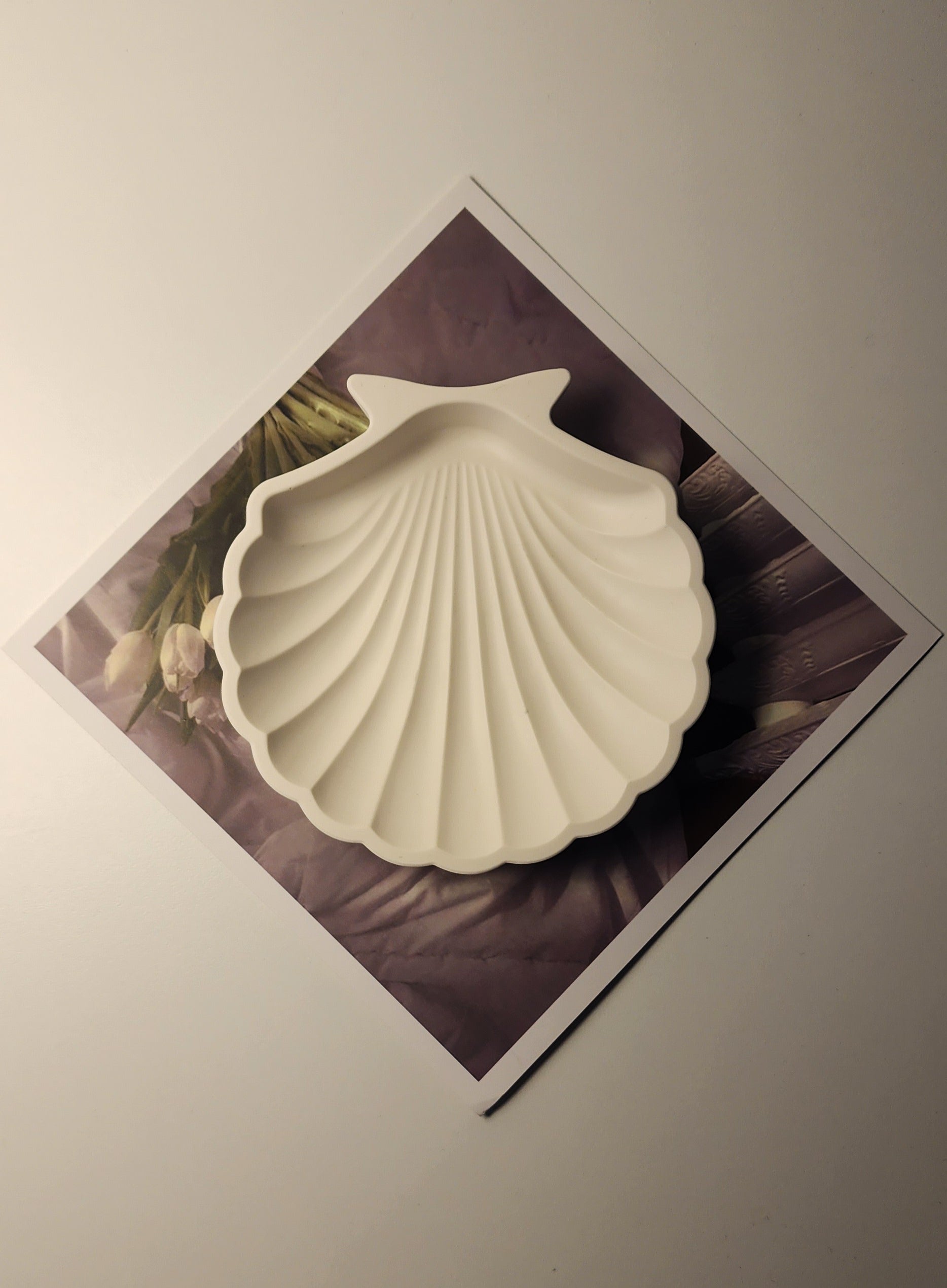 Shell Handmade Object Tray
